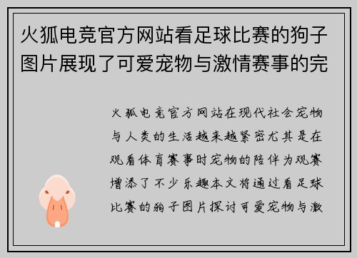 火狐电竞官方网站看足球比赛的狗子图片展现了可爱宠物与激情赛事的完美结合